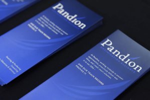 Pandion literature at the 2017 Pandion Healthcare Innovations Conference