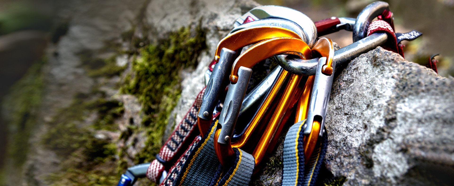 Colorful carabiners arranged in a row